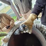IMG-20250208-WA0035