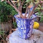 Vaso policromático-  diam  20cm